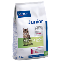 Junior neutered cat - Neutered cat